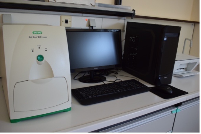 Εικόνα με Συσκευή απεικόνισης μηκτώματος αγαρόζης