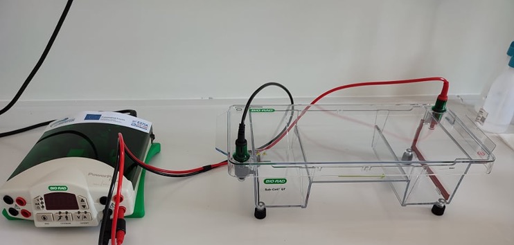 Εικόνα με Συσκευή ηλεκτροφόρησης και τροφοδοτικό 230 Volts